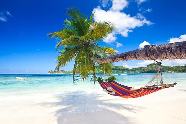 Palmenstrand mit Hängematte und türkisfarbenem Meer auf Mauritius