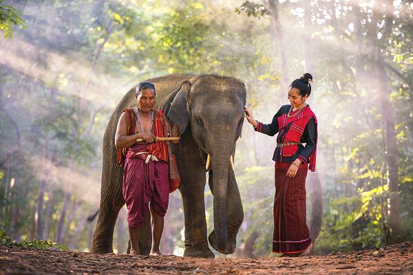 Elefant mit Begleitpersonen in einer Waldlandschaft in Nordthailand