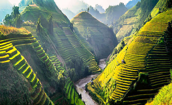 Bild der beeindruckenden Reisterrassen von Sapa, einer faszinierenden Landschaft in der Hoàng Liên Son Bergkette in Vietnam